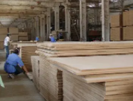 数字化为装配式建造插上智慧之翼