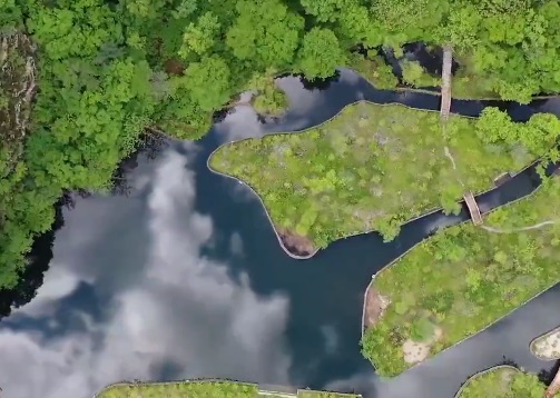 辽宁COP15大会主题宣传片