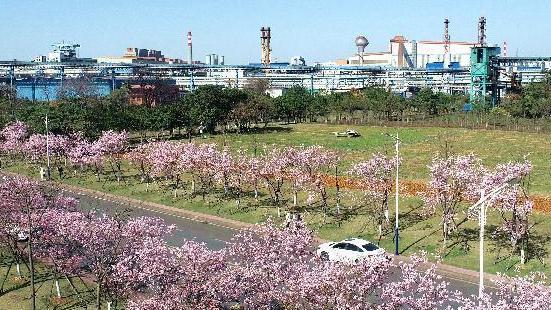 采用“P+C+O”模式治理农村生活污水，福