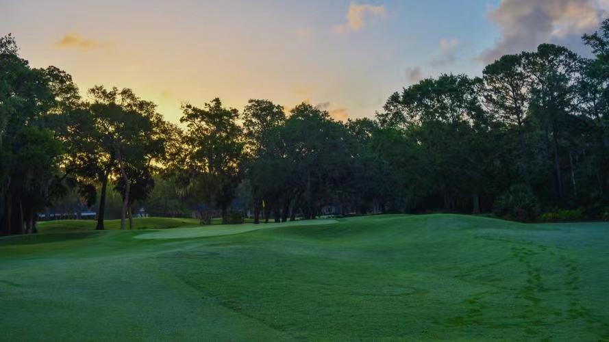 我们倡议：参与“日常小行动，降碳大作为”，立即行动！