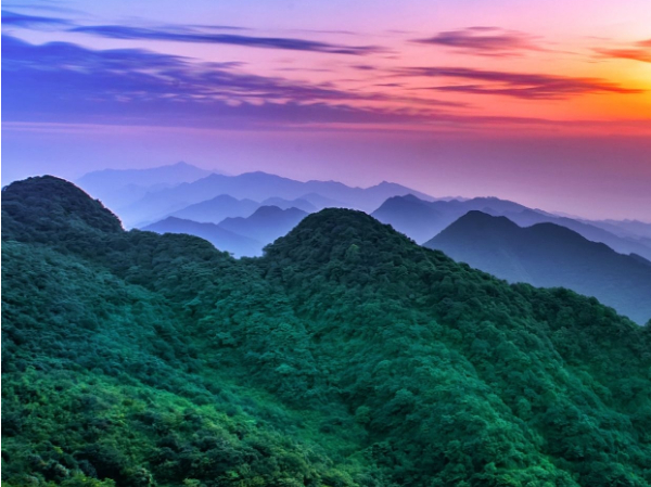 内蒙古图博勒等10个国家级森林公园总体