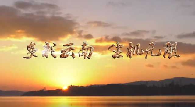 云南COP15大会主题宣传片