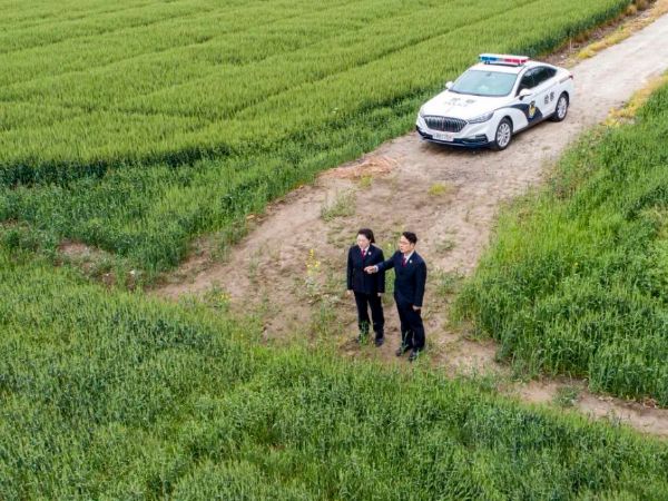 违建船厂拆走了，被毁耕地“康复”了