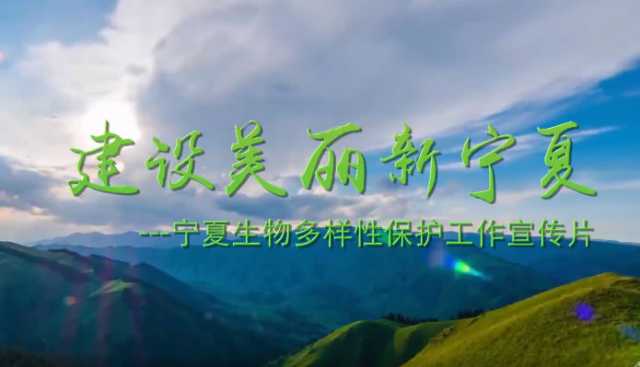 宁夏COP15大会主题宣传片