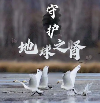 2021年中国自然保护地十件大事公布