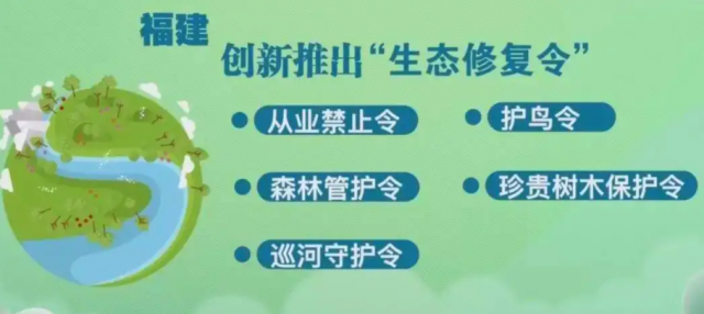 办理一起案件恢复一片青山绿水！福建践行生态恢复性司法理念