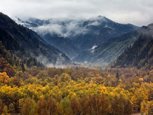 青海副省长刘涛：高标准推进青海湖国家
