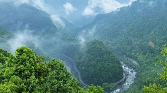 “保证金”给压力 “奖励金”有激励 广