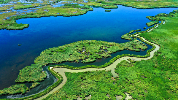 新疆维吾尔自治区党委书记马兴瑞强调：下大气力治理好水资源水生态水环境