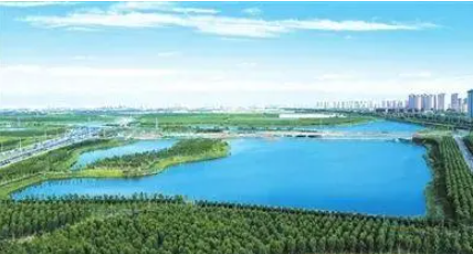 ​河北副省长胡启生要求：打造碧水蓝天美丽城市，擦亮秦皇岛市生态名片