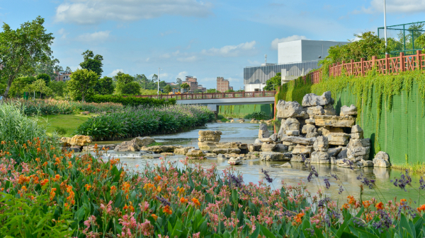 南宁生态持续向好，让老百姓幸福满满