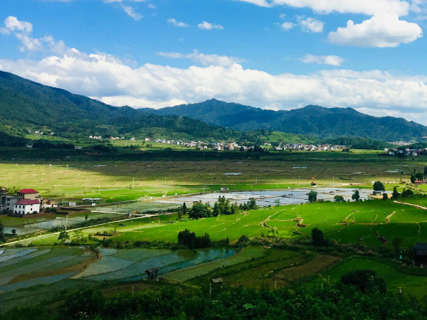 中国环境报文章|南京环科所田伟、赵家印、张纪兵：实施农田土壤重金属污染