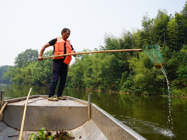 六五环境日丨重庆“绿精灵”如何共建清洁美丽世界？
