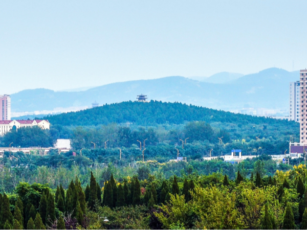 成立“多对一”定向帮扶工作组，山东郯