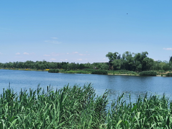 中国环境报快讯！大运河京冀段实现互联