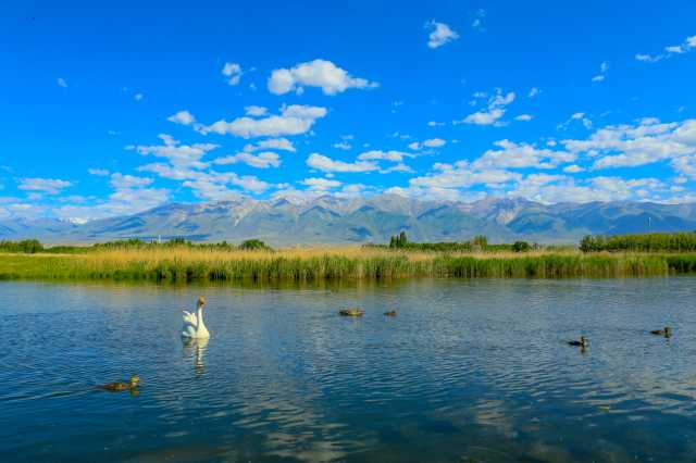 太原火电行业氮氧化物排放浓度实行“双
