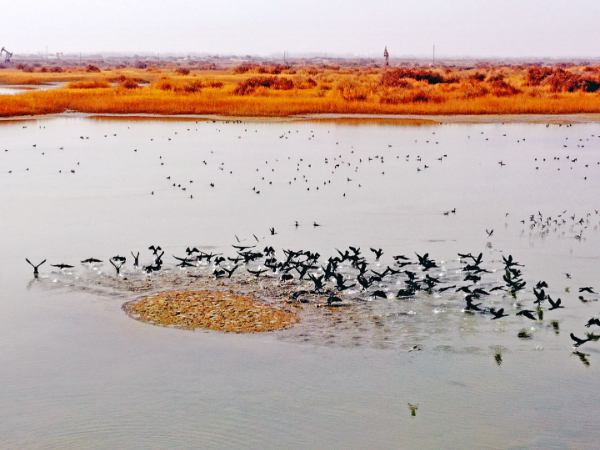 打通“最后一公里”！新疆开展小微企业