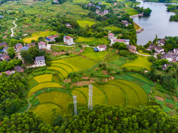 重庆为装配式农房发补贴 推动城乡建设绿