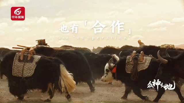 拍纪录片好玩吗？|独家对话《众神之地》