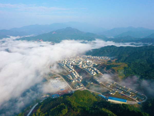 广西：以强有力的督察整改保护好我国南方重要生态屏障