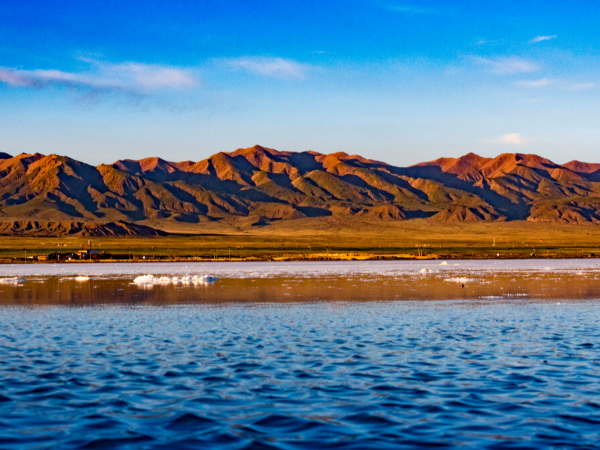 首届青海高寒生物论坛在西宁举行