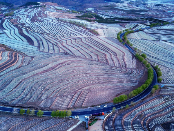 生态美、产业兴、百姓富，围场“绿色宝