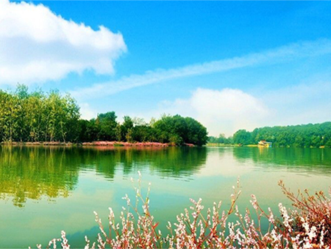 下基层、察民情、解民忧、暖民心，湖北