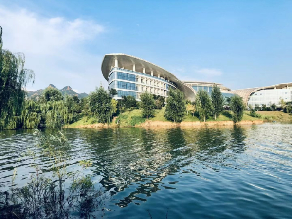 深入打好碧水保卫战①山东坚持“治保用”战略，赢得水清湖美湿地俏