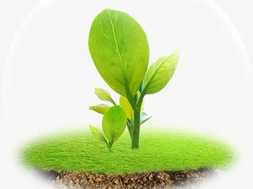 金华东阳：打造“治土新模式”，建设生