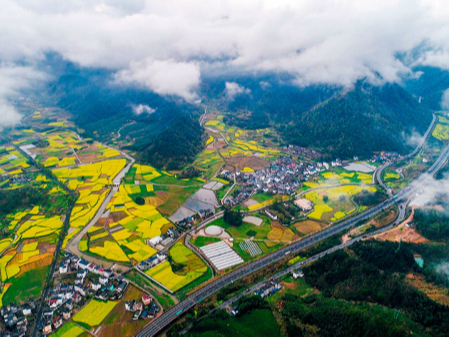 举报有奖！福建出台方案进一步防控重金属污染