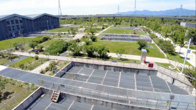 热浪袭来，原来污水处理厂的它们也夏日