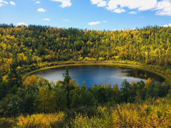 报告文学《地球印记》读札：人与自然和