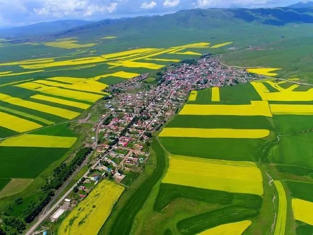 再捧“大禹鼎”！舟山市普陀区为何能再