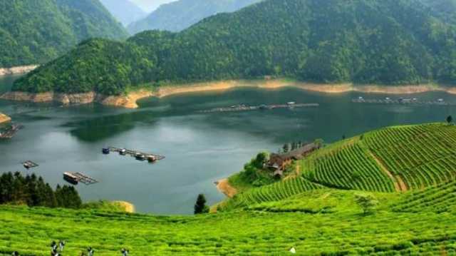 8家公司11名环评人员进入环评管理“黑名单”，影响还将有多大？