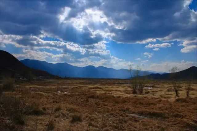 中国组织召开《生物多样性公约》缔约方