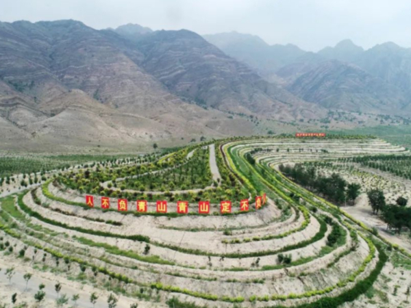 守住“生命线”，绿染黄土塬