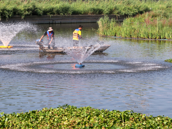 中国环境报文章:中共新余市委党校李弘雯:加快实施环境污染责任保险制度