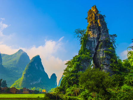 中央党校王茹：把握新时代生态文明建设的核心理念