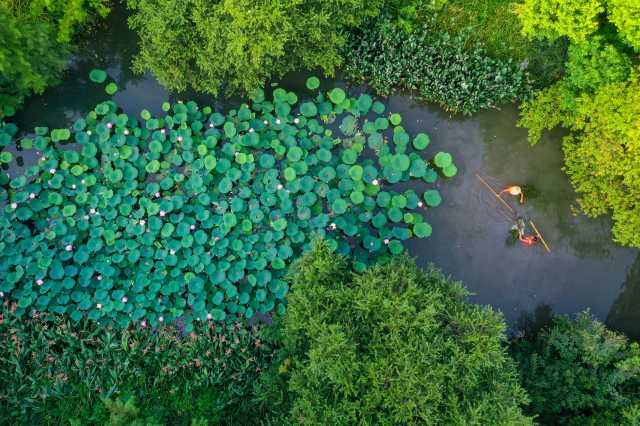 从开发者到保护者，他用18年见证湿地变迁