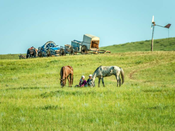 中国环境报快评：惬意不随意 心野不形野
