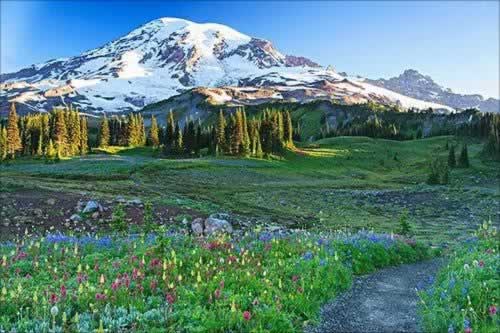 关于推进林业碳汇 将大兴安岭打造成为黑龙江省乃至全国“绿水青山就是金山