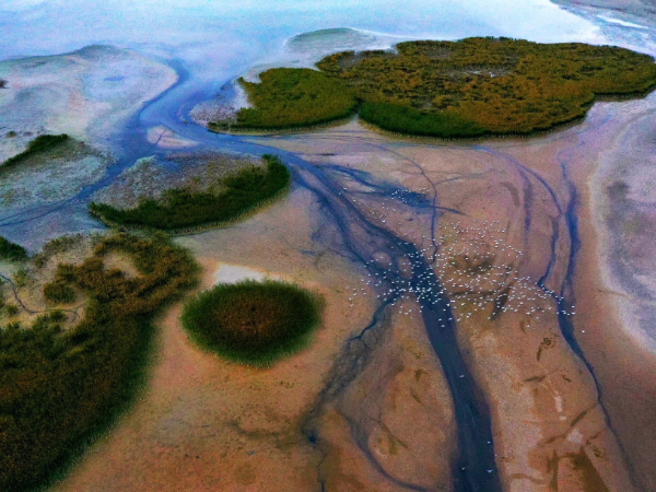 甘肃“十四五”如何打好农业农村污染治理攻坚战？这一方案讲清楚了