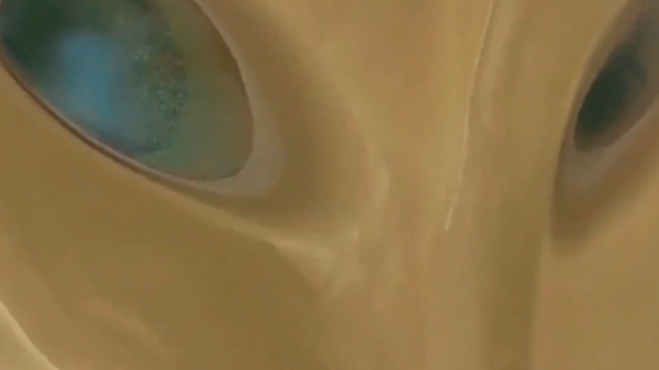 见证者说| “沙狐之眸”作者王汉冰：与自然对话的新疆摄影师