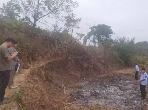 湖北大悟县问责多名秸秆禁烧工作不力人