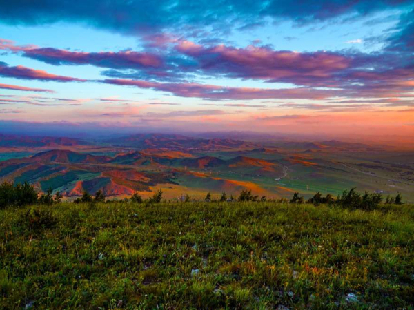 北京大学光华管理学院教授雷明：生态美
