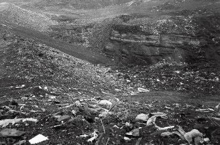 原创评论：希望也需要更多煤场变球场