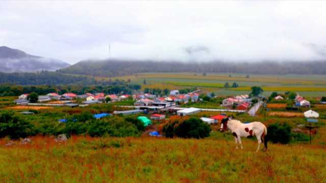 内蒙古柴河：秋景美如画