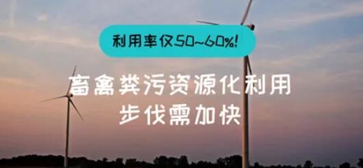 上亿只畜禽实现“近零排放”！沛县农业“绿岛”破解畜禽粪污处置难题