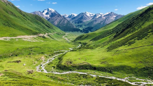 每年节省上千万元！新疆这一地方废旧滴灌带实现了100%回收再利用