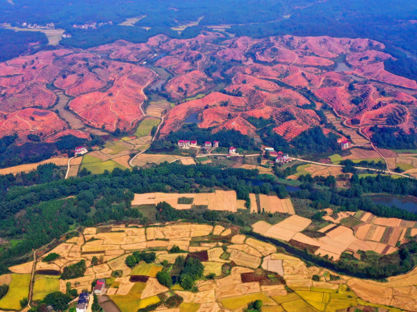 “突击队算我一个！”——记江西省吉安市生态环境保护综合执法支队青原大队